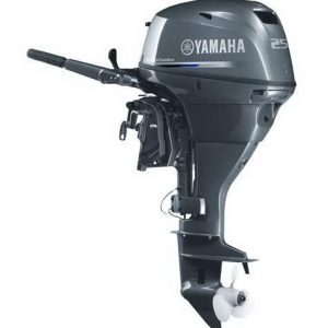 Yamaha F25