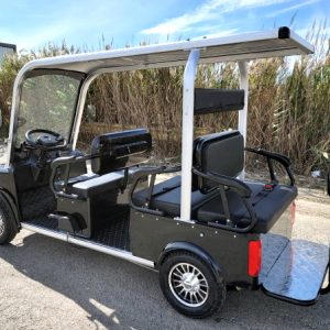 Electric Golf Cart Limo LSV Low Speed Vehicle Six Passenger - 60v Skyline Transporter
