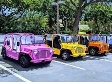 Moke Mini Electric car America LSV